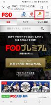 FODウェブサイトにアクセス